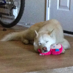 Meet your Posher, Katherine